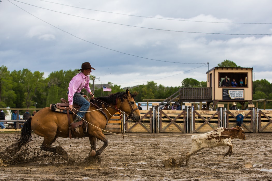 calf_roping